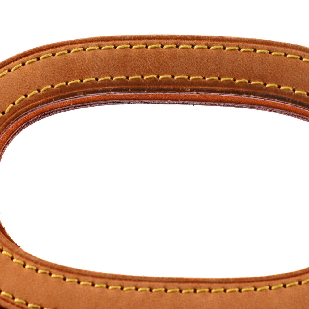 Louis Vuitton Roxbury Drive Handbag - Picture 7 of 8